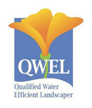 QWEL logo